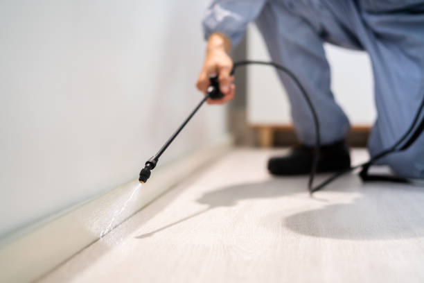 Licensed Fumigation Services service in Fort Bliss, TX - Nex Pest Control