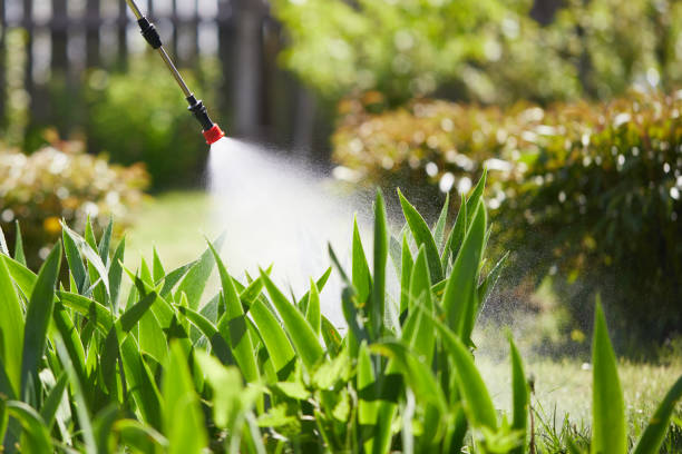 24/7 Emergency Fumigation Services experts in Fort Bliss, TX
